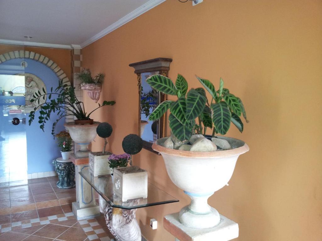 Pousada Do Leao Florianópolis Eksteriør bilde